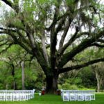 Eden Gardens State Park