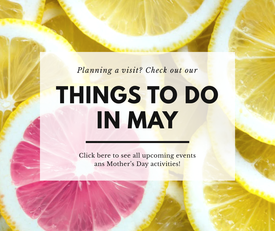 Things To Do in May