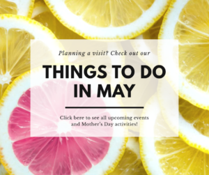 Things To Do in May in Destin Florida