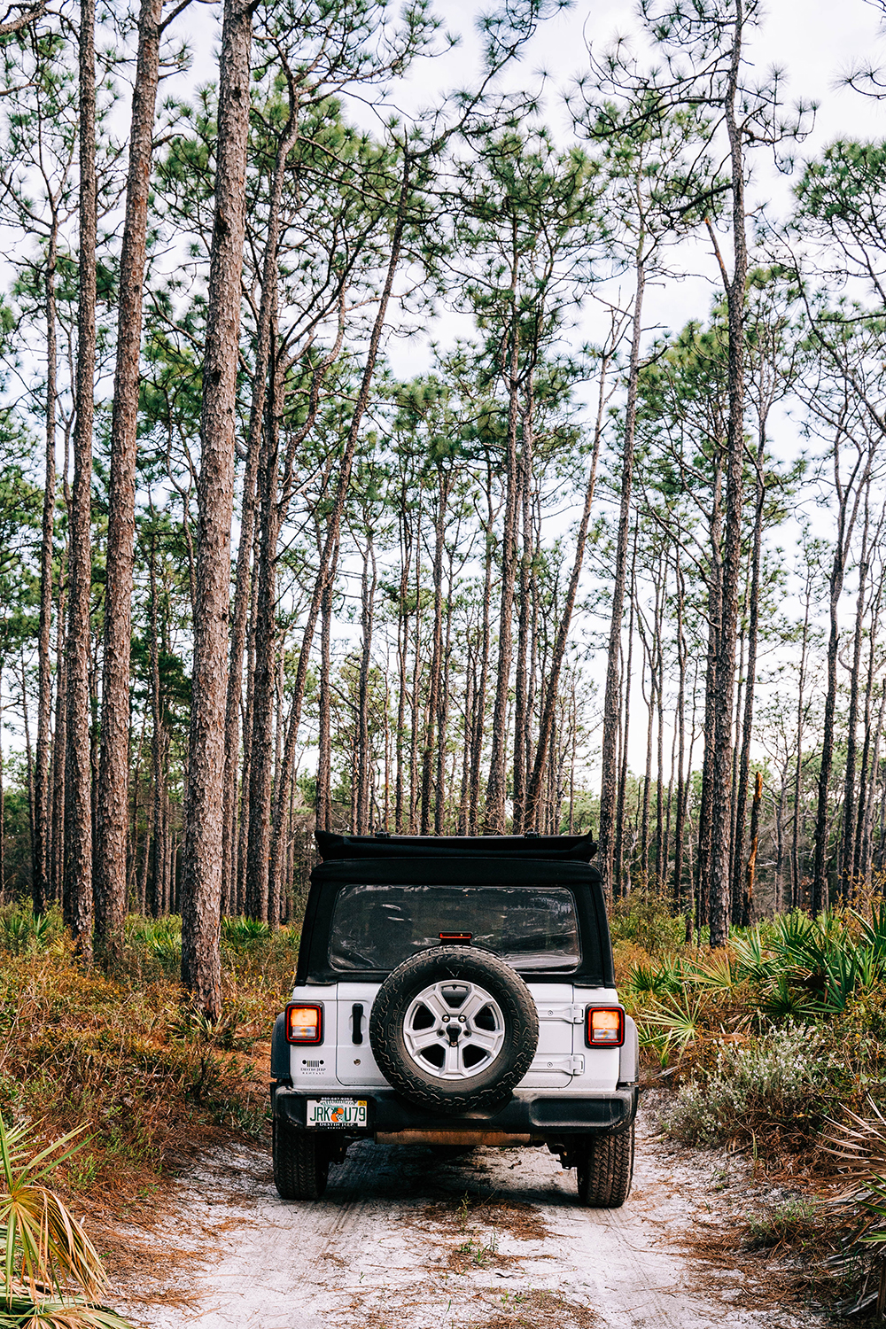 Destin Jeep Rentals - Find Things To Do In Destin Florida