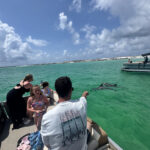 Dolphin Tour Pontoon Destin Florida