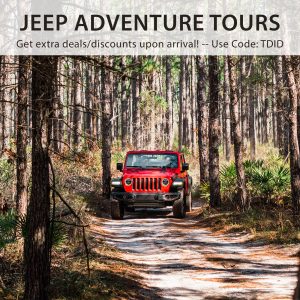 Destin Florida Jeep Adventure Tours