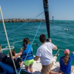 Sailing Moby Adventures