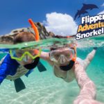 Flippers Adventures