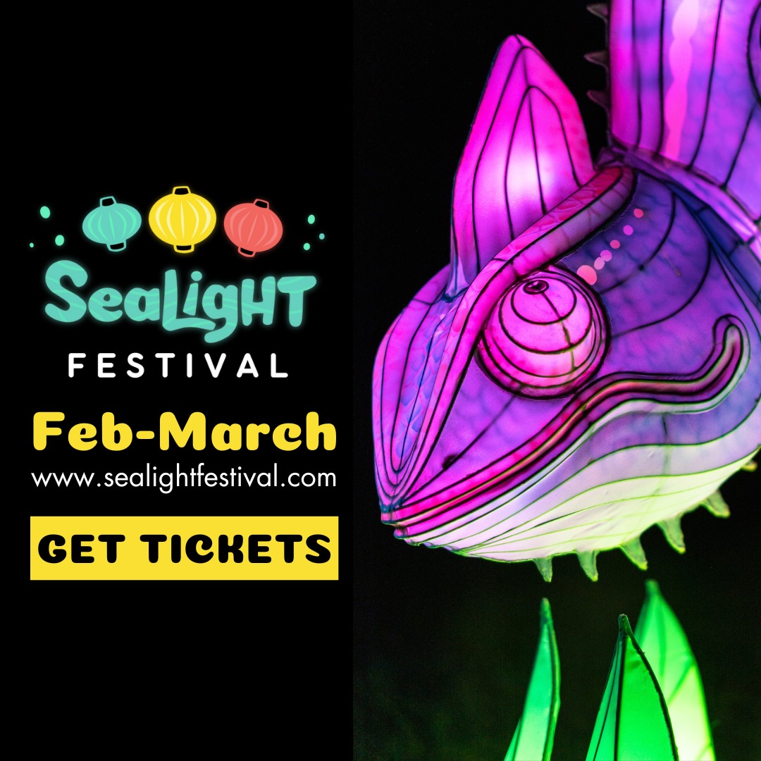 February Events in Destin Florida Find Things To Do In Destin